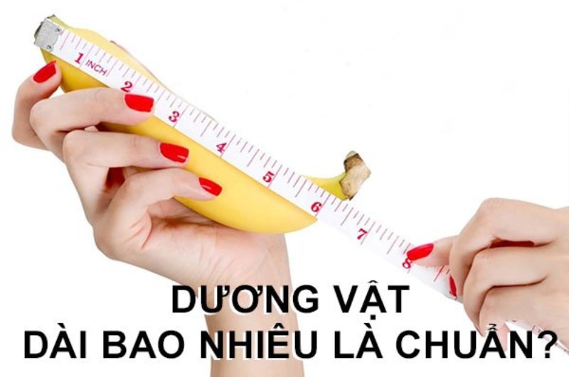 Kích thước dương vật chuẩn khi mềm, khi cương cứng sẽ khác nhau
